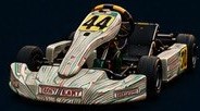 Senior category racing kart